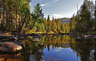 山姆•休斯顿国家森林公园
